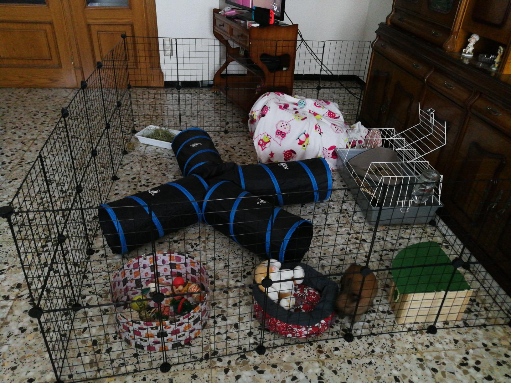 Perfekt für unsere zwei Meerschweinchen