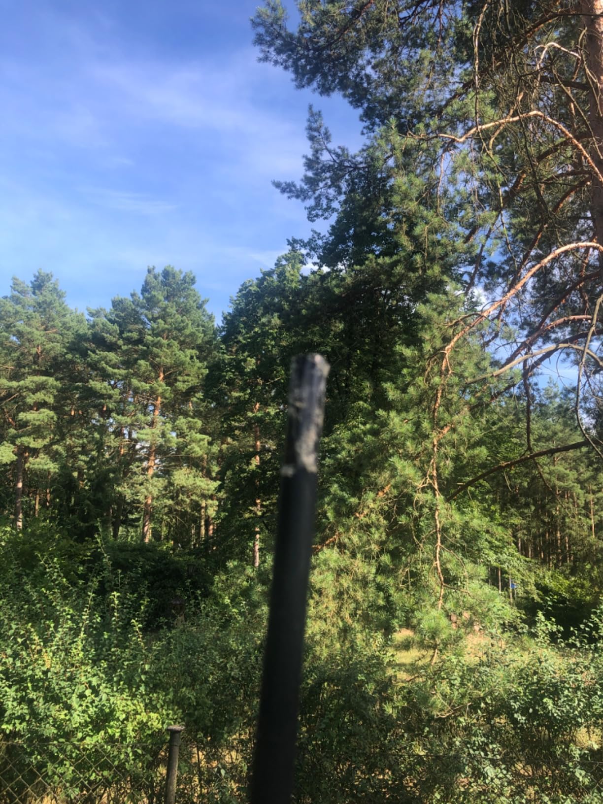 Beste Anschaffung diesen Sommer