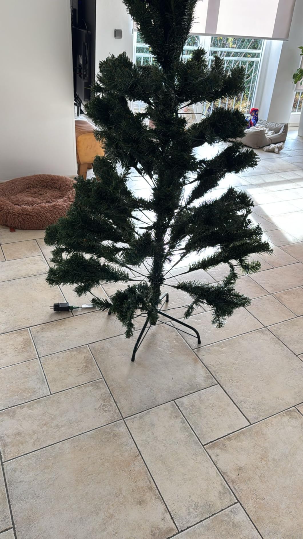Schöner Baum, Aufbau braucht Geduld