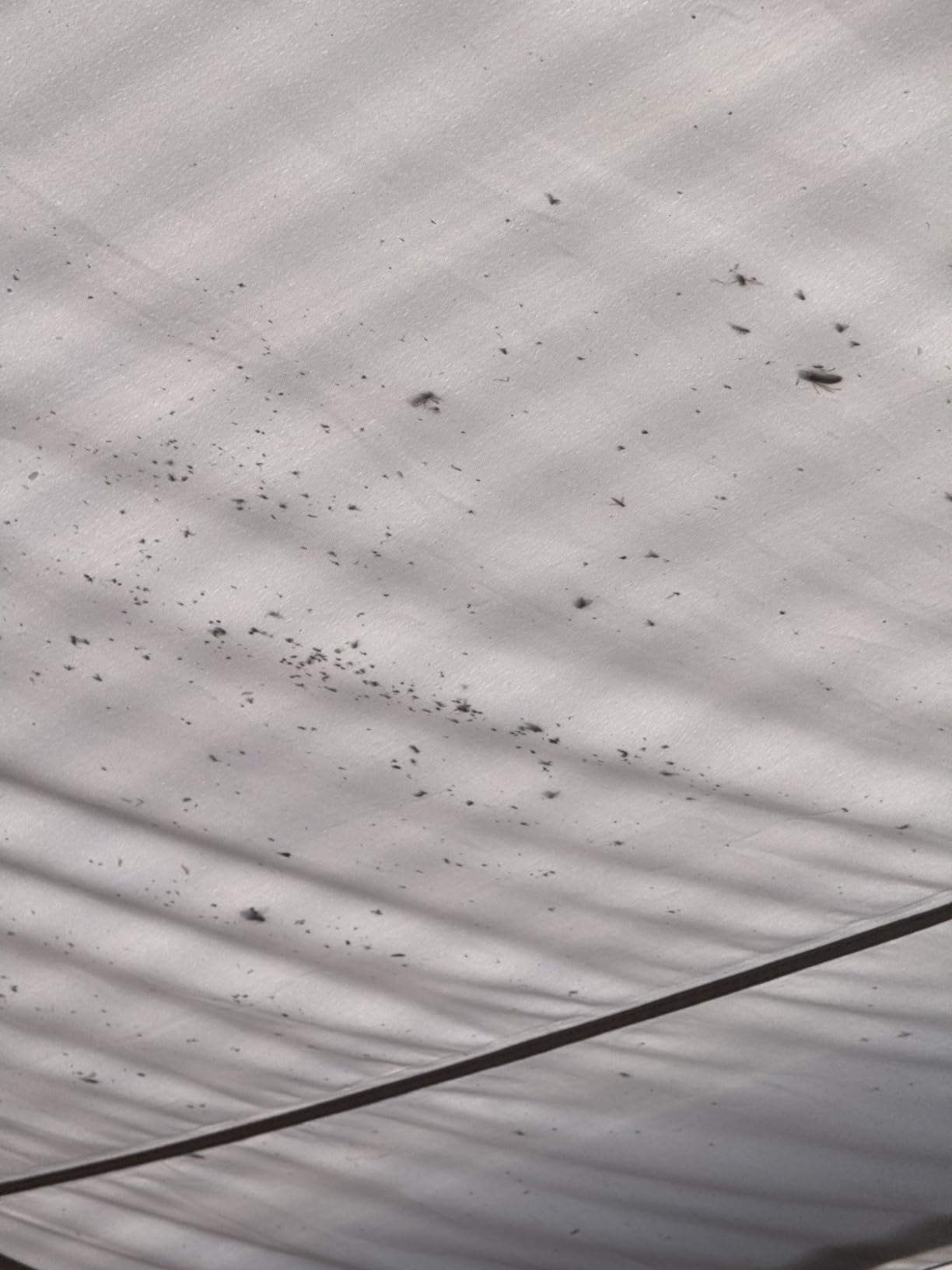 Hält wirklich Regen ab