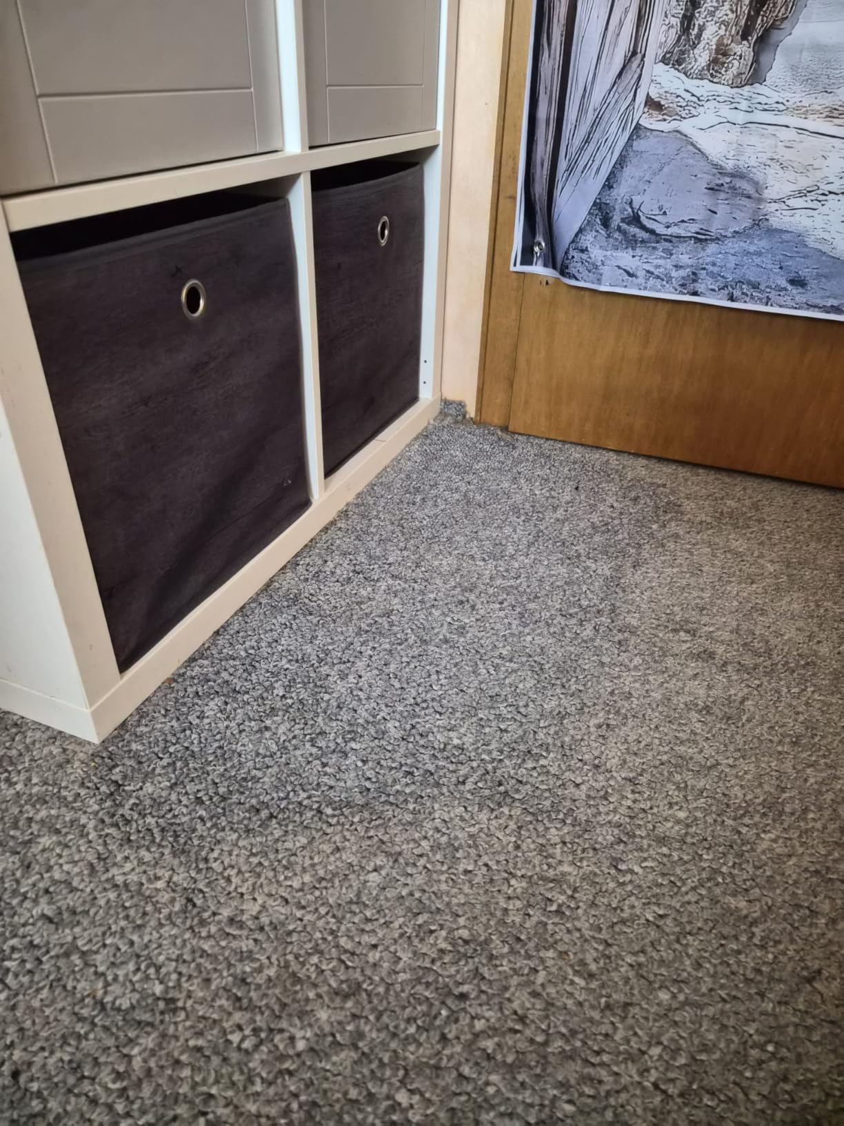 Katzenhaushalt gerettet