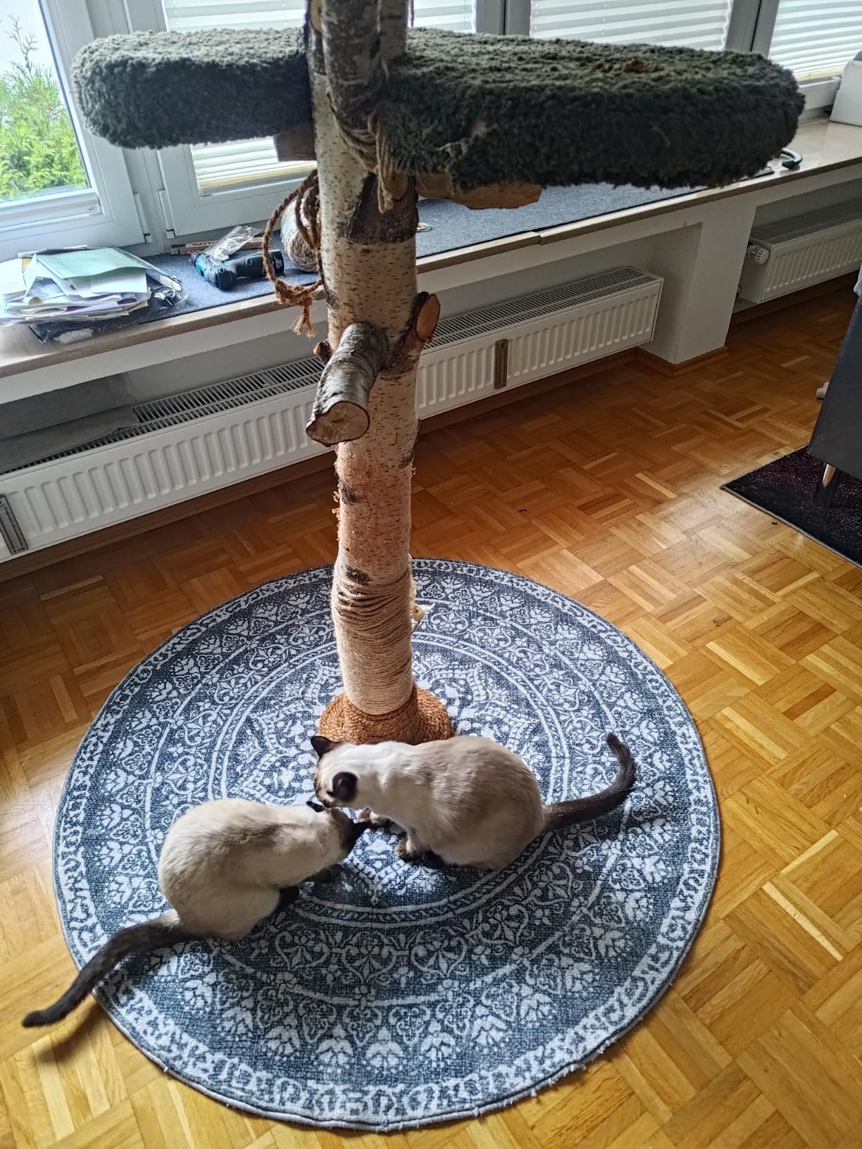 Gute Qualität