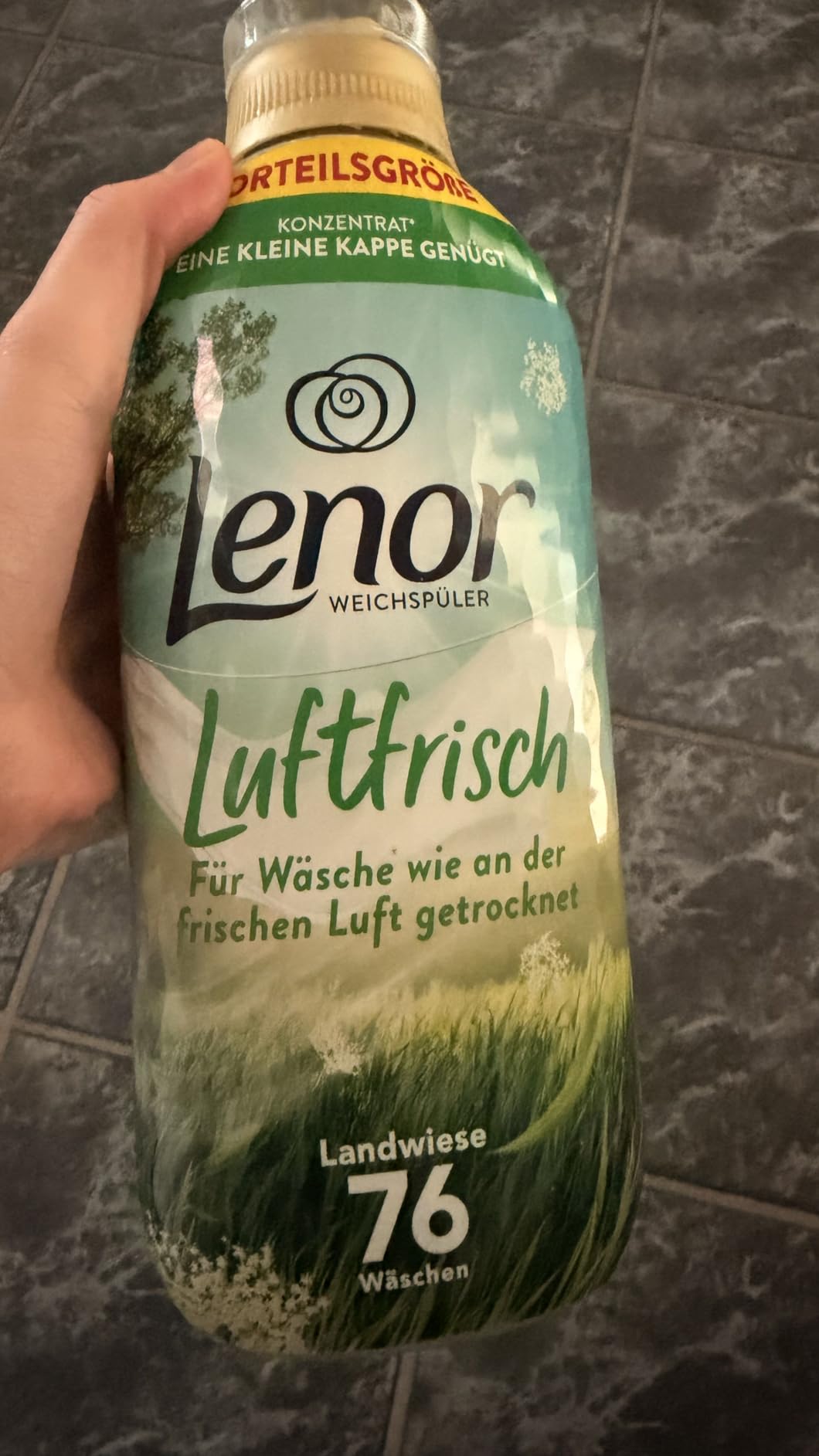 Top gegen Kellergeruch