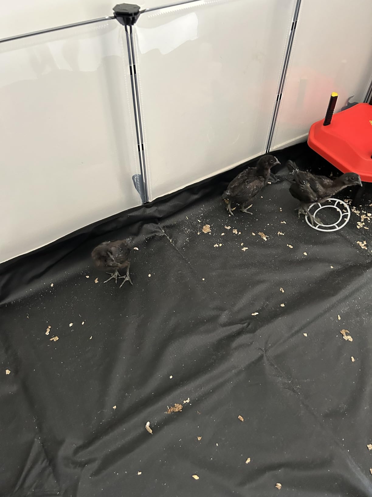 Kinderleicht und praktisch