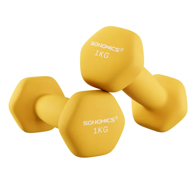 songmics-hexagon-hanteln-2-st-ck-mit-neoprenbeschichtung-f-r-krafttraining image 1