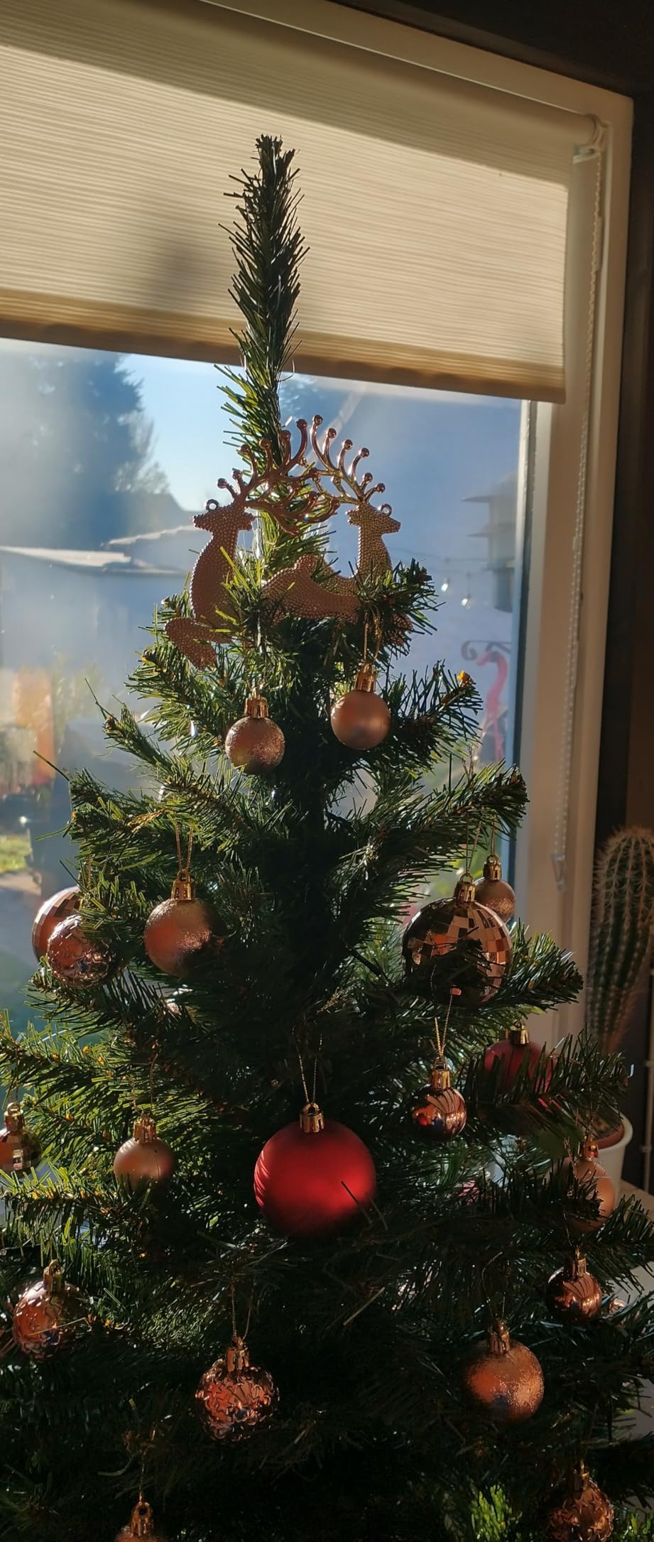 Kein Nadelchaos mehr