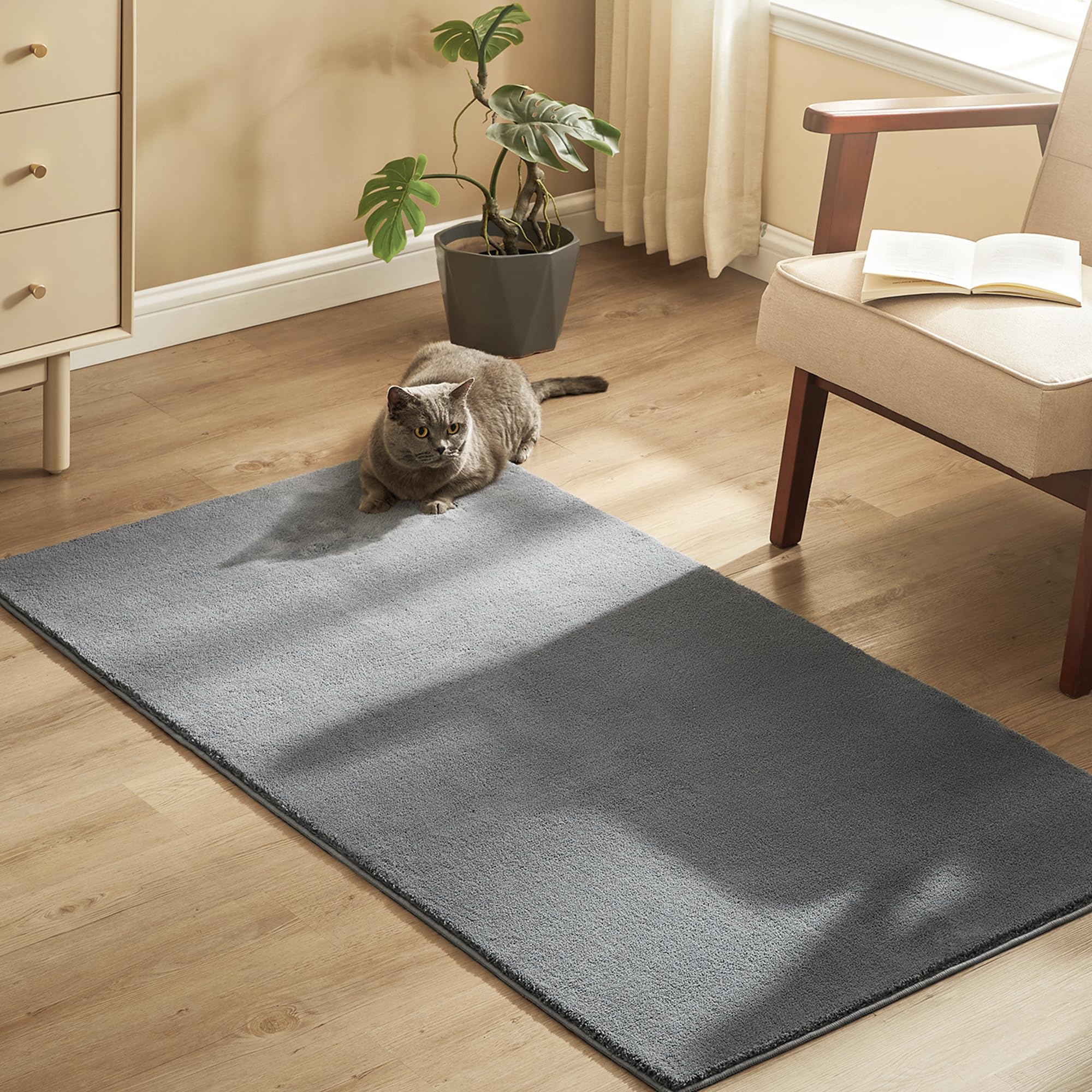 songmics-teppich-80-x-150-cm-maschinenwaschbar-rutschfest-taubengrau-tar011g01 image 1