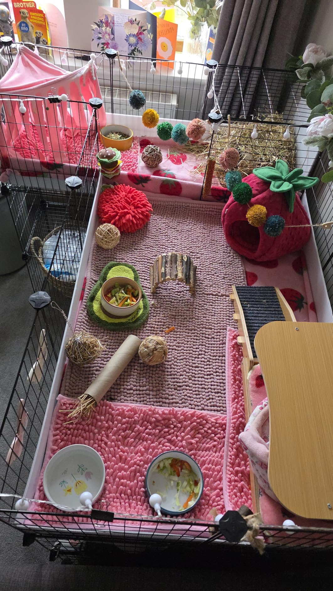 Kaninchen lieben die 2. Etage