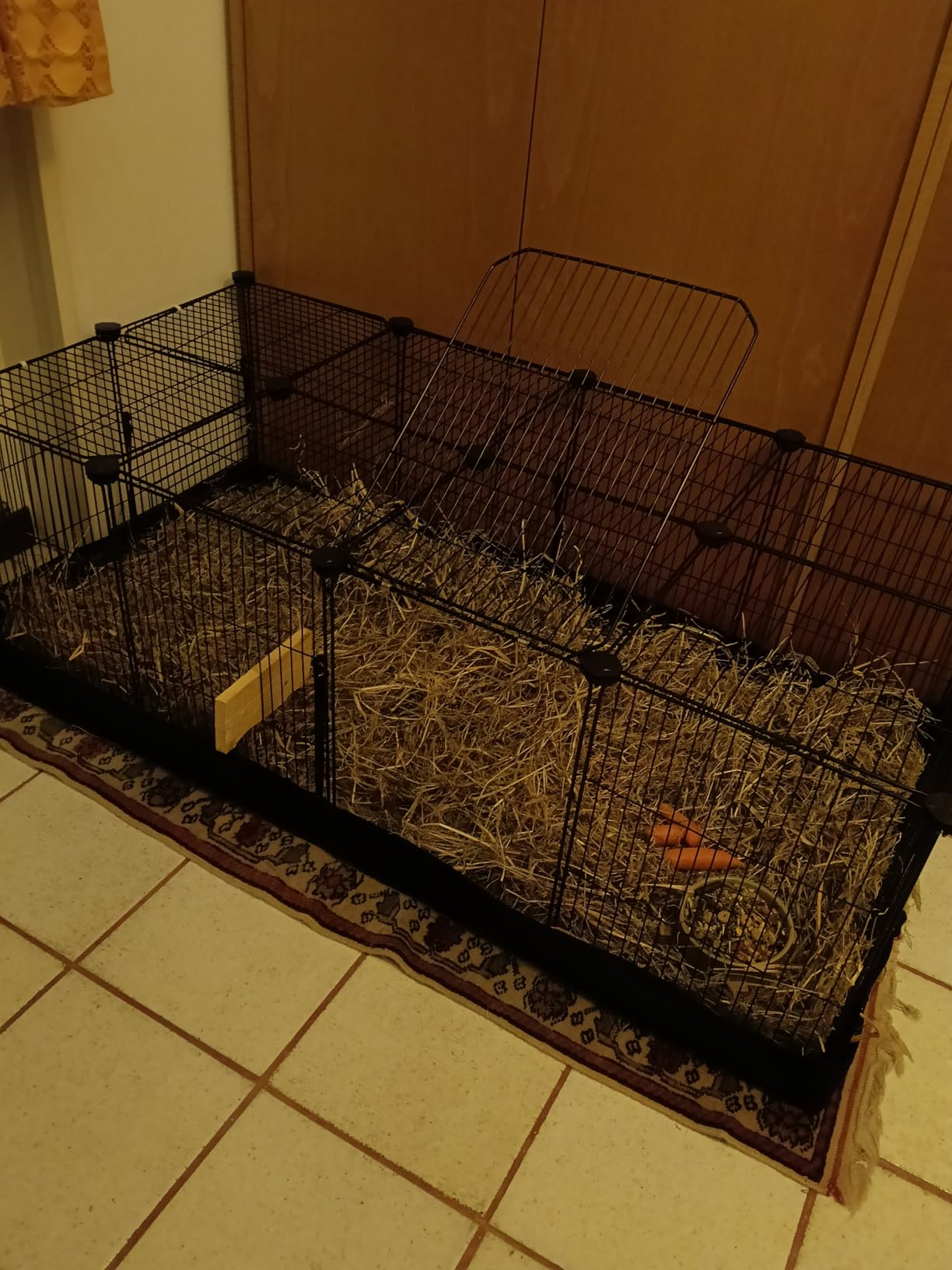 Unsere Meerschweinchen lieben es