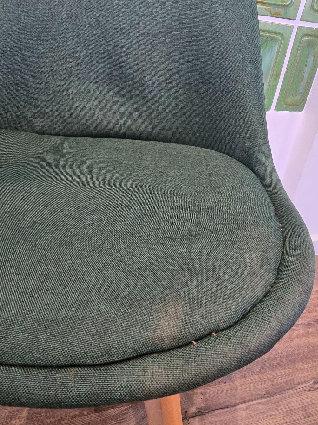 Hundegeruch weg