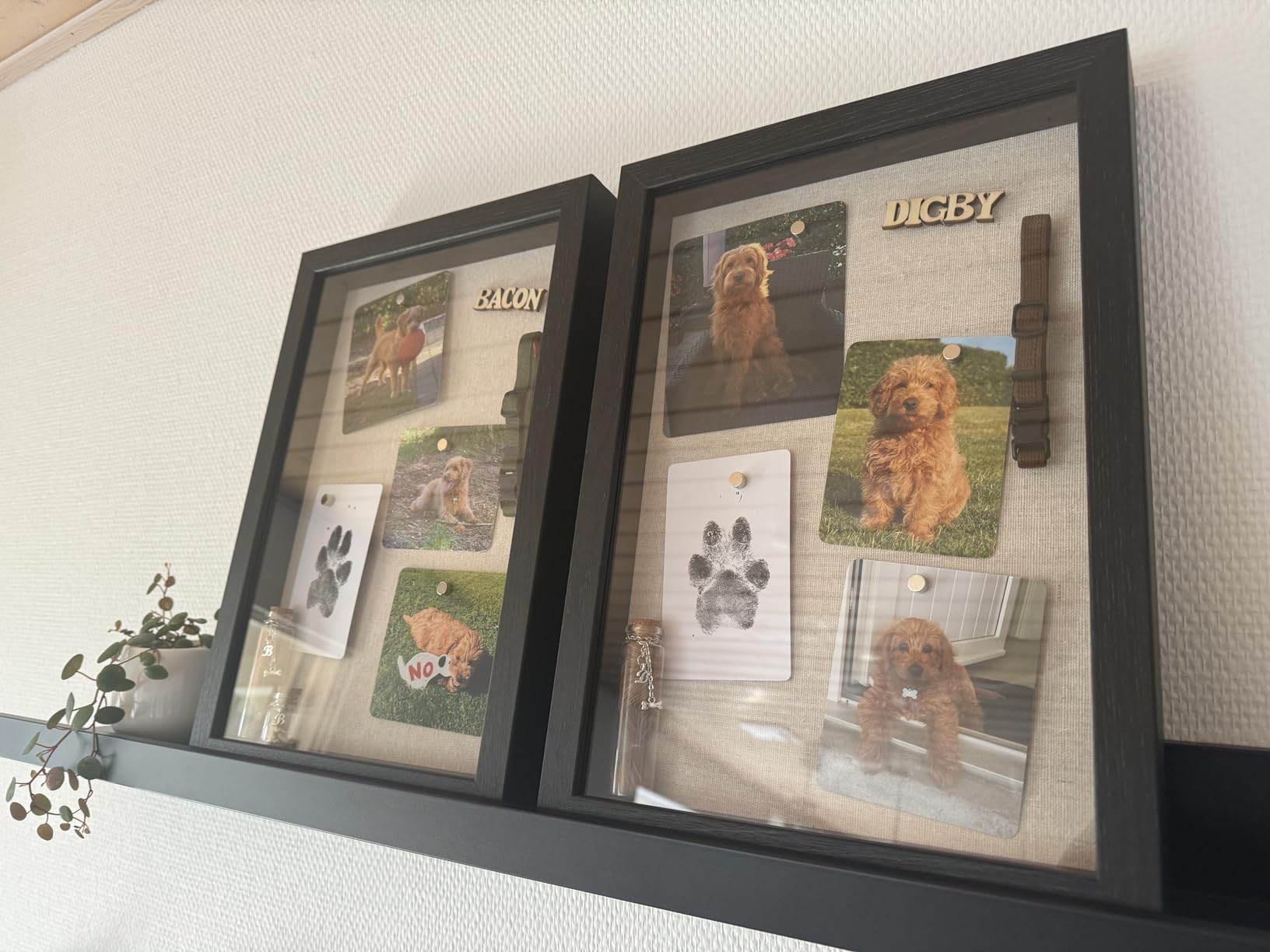 Wunderschöne Collage