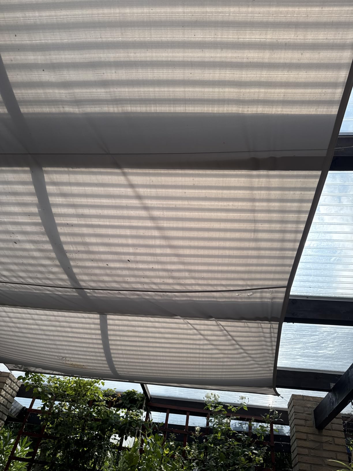 Riesiger Schatten